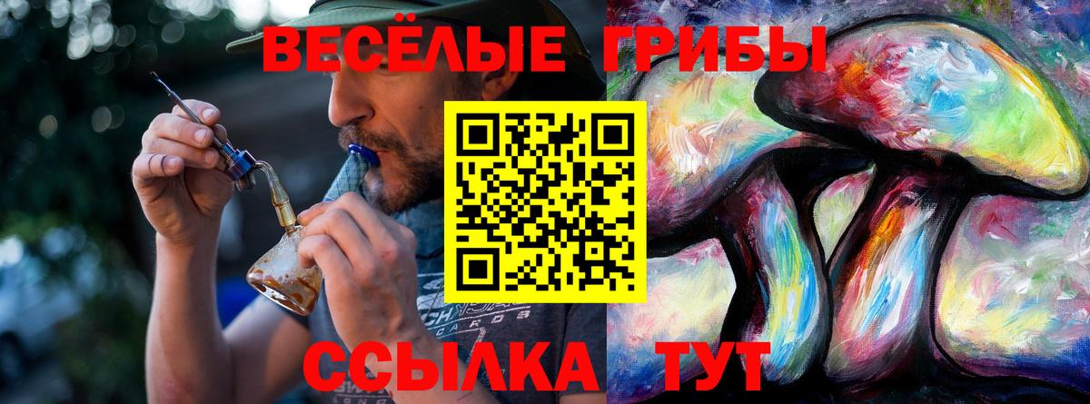 Псилоцибиновые грибы мицелий  Вход с VPN  Гуково 